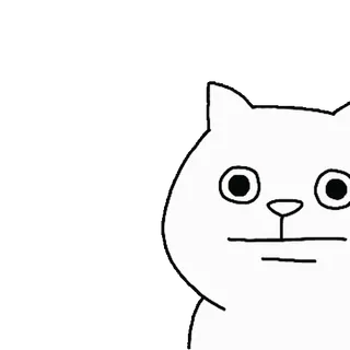 💬 kat, dier, schattig, wit, grappig, cartoon telegram sticker