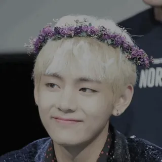 🍿 V V, BTS, K-pop, 花环, 歌手, 音乐 telegram sticker