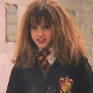 🐿 Hermione Granger Harry Potter Hermelien Griffel, Harry Potter, Tovenaar, Griffoendor, Student telegram sticker
