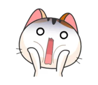 😱 cat, surprised, shocked, animal, cartoon, cute telegram sticker
