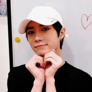 🐻 kpop, asia, cowok, hati, topi putih, imut whatsapp sticker