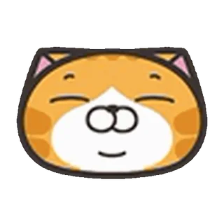 🐱