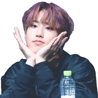 🤗 kpop, han jisung, stray kids, ídolo, cantante, persona whatsapp sticker