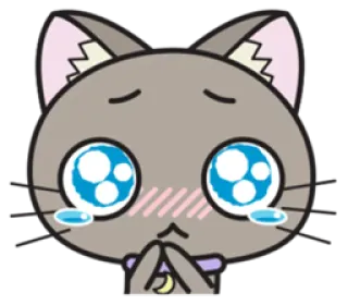 🐱 gato, anime, chorando, implorando, desenho animado, kawaii, fofo whatsapp sticker