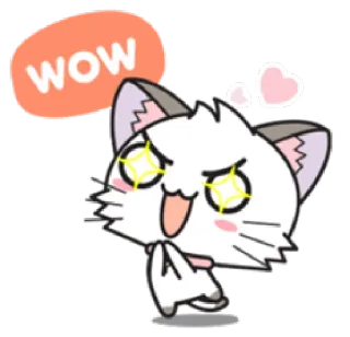 ✨ WOW gato, fofo, adesivo, uau, animado, corações, animado whatsapp sticker