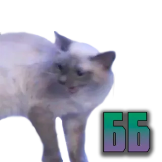 Modestal Pack telegram stickers