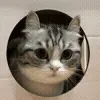 📦