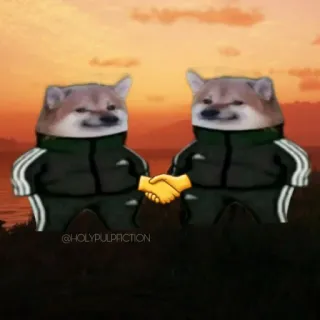 🤝 도지, 밈, 합의, 시바견, 악수, 침스 telegram sticker