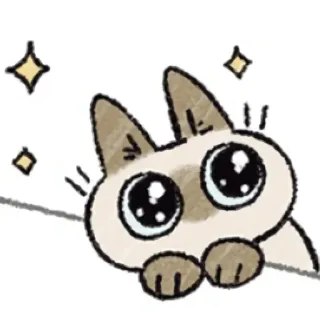 🤩 cat, animal, cute, kawaii, pet, sticker telegram sticker