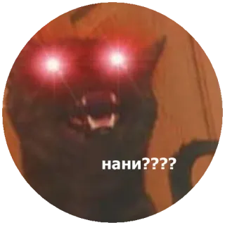 😳 нани???? kat, meme, boos, ogen, gloed whatsapp sticker