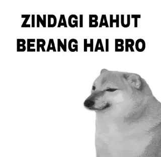 😂 Cheems Doge ZINDAGI BAHUT BERANG HAI BRO cheems, doge, sad, meme, relatable, bored, depression telegram sticker