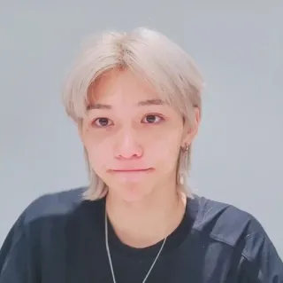😐 Felix kpop, idol, stray kids, felix, portrait, male telegram sticker