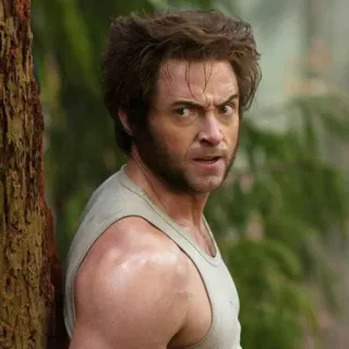 😖 Wolverine X-Men วูล์ฟเวอรีน, เอ็กซ์เมน, โลแกน, มาร์เวล, ซูเปอร์ฮีโร่ telegram sticker
