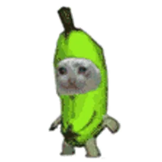 🐈 кот, банан, грустный, милый, мем, смешной telegram sticker