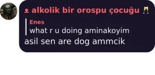 🇹🇴 alkolik bir orospu çocuğu
what r u doing aminakoyim
asil sen are dog ammcik insult, offensive, text whatsapp sticker