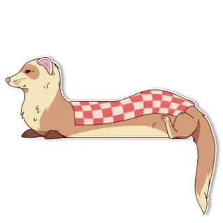 😴 페럿, 동물, 만화, 체크무늬 telegram sticker