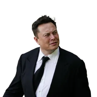 😕 Elon Musk Elon Musk, businessman, entrepreneur, technology, spacex, tesla telegram sticker