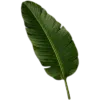 🥥