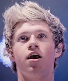 😧 Niall Horan Niall Horan, One Direction, músico, cantante, celebridad, estrella pop telegram sticker