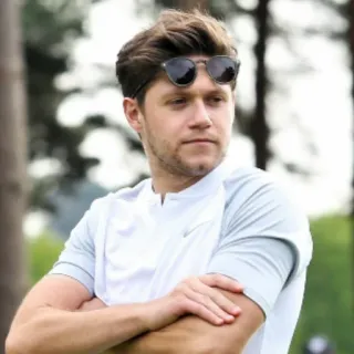 😒 Niall Horan singer, celebrity, person, male, musician, Niall Horan telegram sticker
