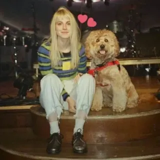 ❤️‍🔥 Hayley Williams Hayley Williams, cachorro, Goldendoodle, Paramore, cantora, músico telegram sticker