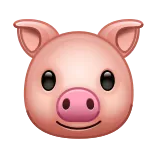 🐷