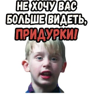 😡 Kevin McCallister Home Alone НЕ ХОЧУ ВАС БОЛЬШЕ ВИДЕТЬ, ПРИДУРКИ! Solo en casa, Kevin McCallister, Insulto, Ruso, Ofensivo, Meme whatsapp sticker