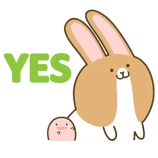 👍 YES rabbit, yes, cute, animal, affirmative, green telegram sticker