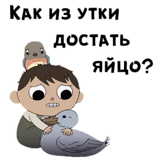 😬 Как из утки достать яйцо? dibujos animados, pájaro, animal, texto, pregunta, huevo telegram sticker
