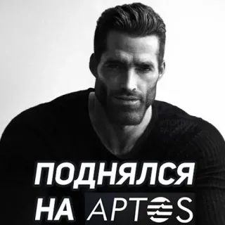 Бытовуха Криптана @raster_crypto whatsapp stickers
