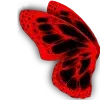 🦋
