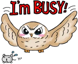😖 I'm BUSY!! сова, занятый, мультфильм, злой, животное, милый, иллюстрация telegram sticker