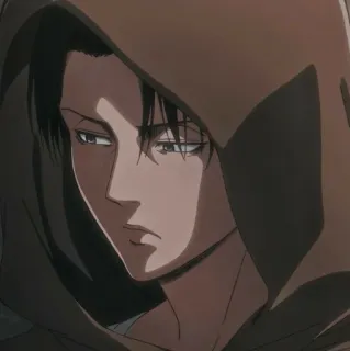 📎 Levi Ackerman Attack on Titan levi, attack on titan, anime, character, hoodie, aot telegram sticker