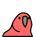 🦜 papegaai, vogel, dier, schattig, cartoon, sticker telegram sticker