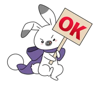 🦞 OK 토끼, 귀여운, OK, 승인, 만화 whatsapp sticker
