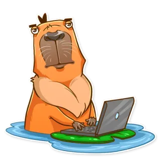 😐 คาปิบารา, สัตว์, สัตว์ฟันแทะ, คอมพิวเตอร์, แล็ปท็อป, กำลังพิมพ์, น้ำ, การ์ตูน telegram sticker