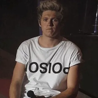 🌙 Niall Horan POISO promi, sänger, one direction, niall horan telegram sticker