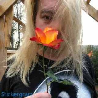 🌷 Stickergram мужчина, роза, блондин, цветок, портрет, человек telegram sticker
