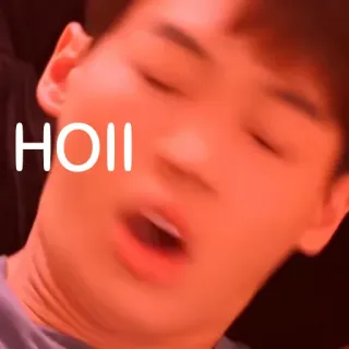 🗣 HOII telegram sticker
