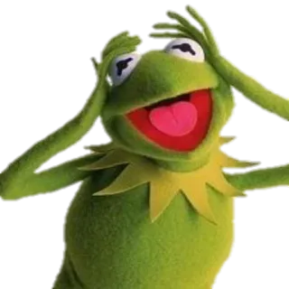😱 Kermit the Frog kermit, grenouille, muppet, mème, marionnette, réaction telegram sticker