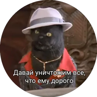 😈 Давай уничтожим все, что ему дорого 猫, 帽子, ロシア, 動物 telegram sticker