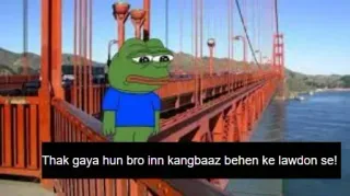 😢 Pepe the Frog Thak gaya hun bro inn kangbaaz behen ke lawdon se! pepe, grenouille, triste, meme internet, meme telegram sticker