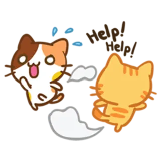 😥 猫, 子猫, 動物, ペット, かわいい, 遊び好き telegram sticker