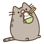 🍚 Pusheen cat, pusheen, eating, food, rice, chopsticks whatsapp sticker
