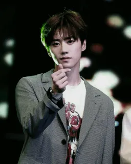🌚 pria, korea, aktor, penyanyi, selebriti, tampan, gestur telegram sticker