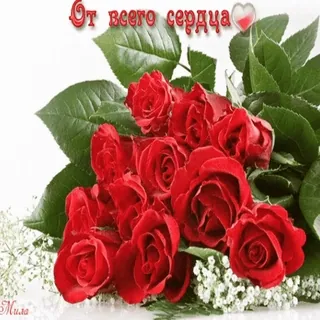 Открытки))* whatsapp stickers