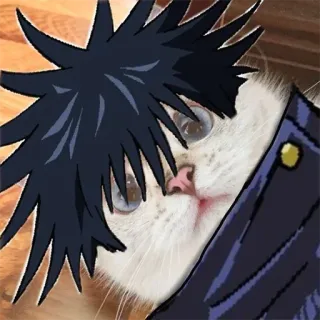 🍻 Megumi Fushiguro Jujutsu Kaisen kot, anime, manga, jujutsu kaisen, megumi fushiguro, naklejka, śmieszne telegram sticker