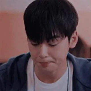 🦧 whatsapp sticker