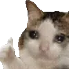 🥺
