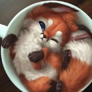 😴 fox, cup, animal, cute, furry, kawaii telegram sticker